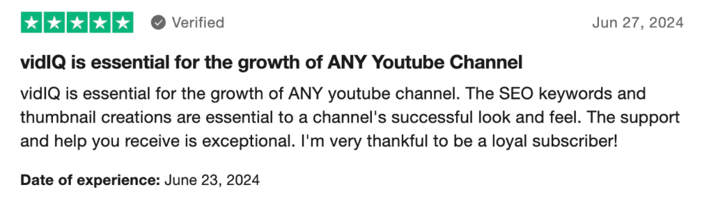Image: Customer testimonial about vidIQ #1